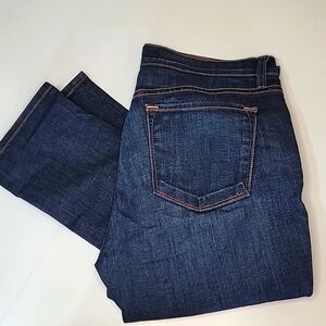 NWOT J. BRAND Dark Vintage Skinny Indigo Slim